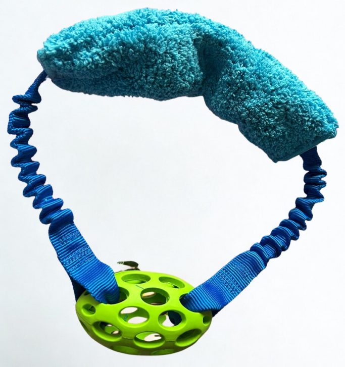 Hundespielzeug mit Bungee Seil und Gitterball