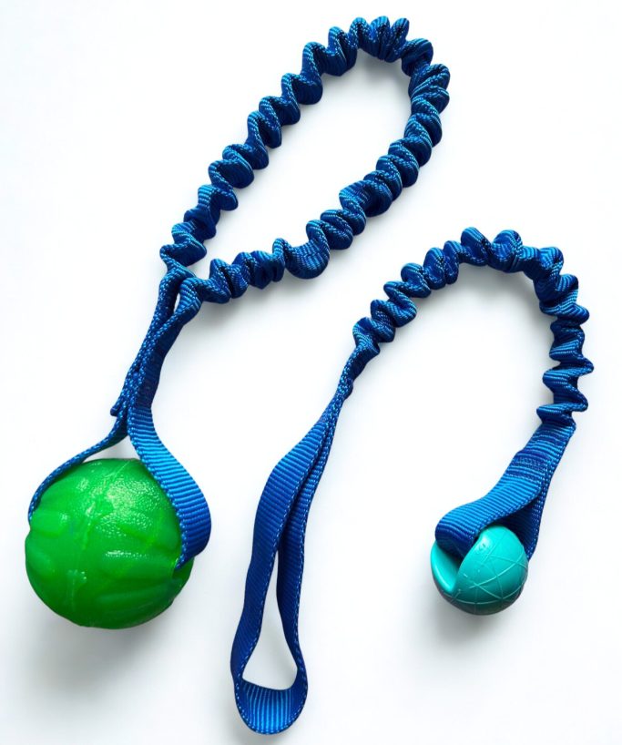 Hundespielis zum Zergeln mit Ball und Bungeeseil