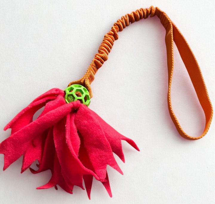 Spieli mit Gitterball, Bungee Seil und Fleece