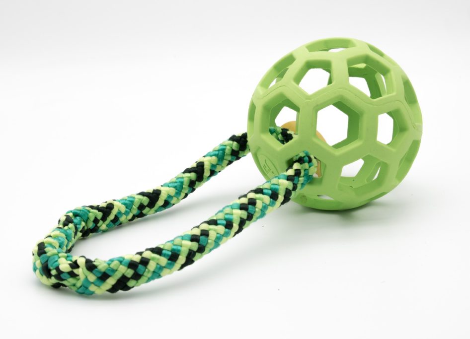 Hundespielzeug in grün, Gitterball mit Zergel