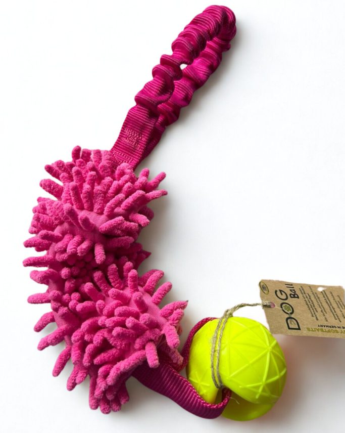 Hundezergel mit Bungee Seil, Fleece Mop und Ball