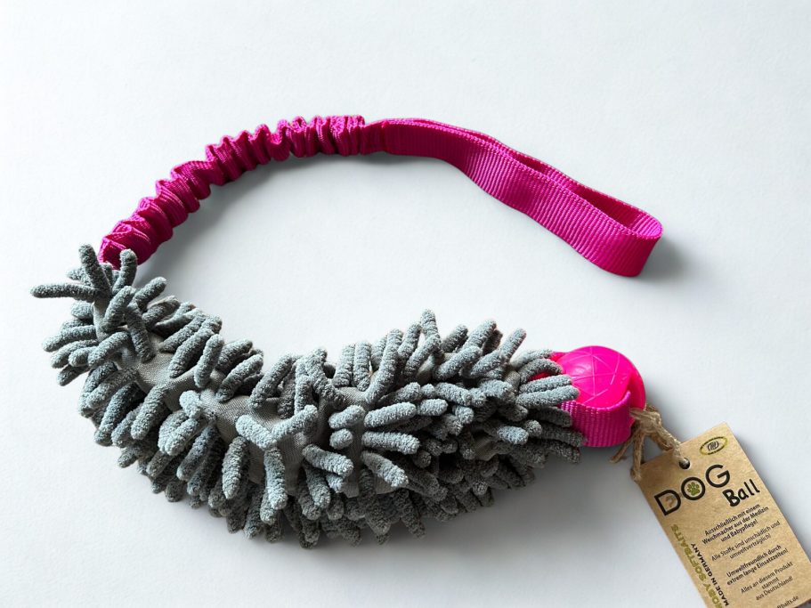 Hundezergel mit Bungee Seil, Fleece Mop und Ball